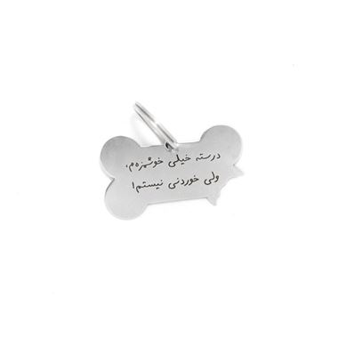 تصویر آویز قلاده استیل طرح استخوان گاز زده با متن
