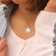 تصویر آویز نقره برف
