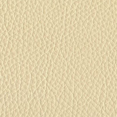 کرم | Cream