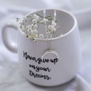 تصویر آویز نقره ماه